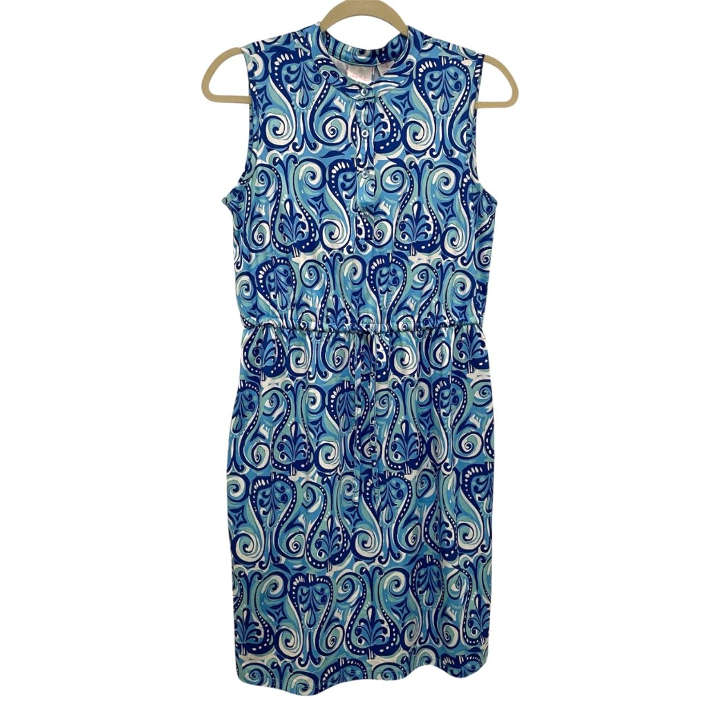 Stella Parker Blue Paisley Sleeveless Dress Womens Size S